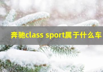 奔驰class sport属于什么车